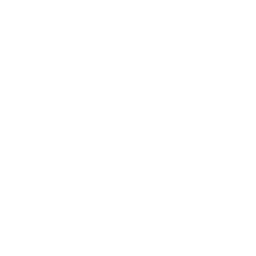 Bestway International, Inc.