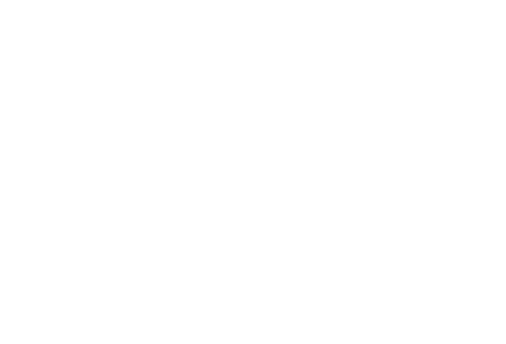 Bestway Logo