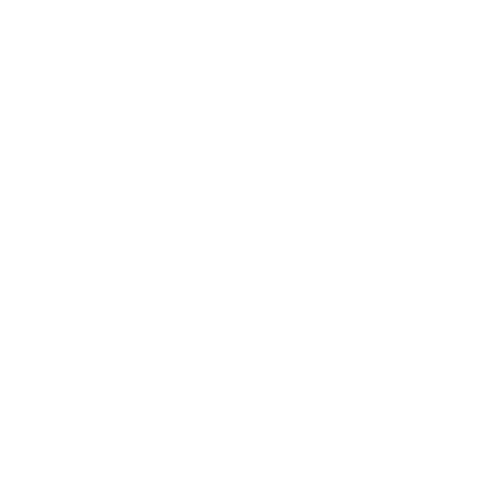 JFK Air Cargo Association