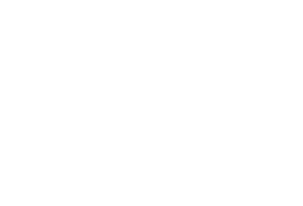 RS Express Logo