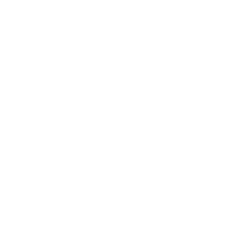 Ancon Services