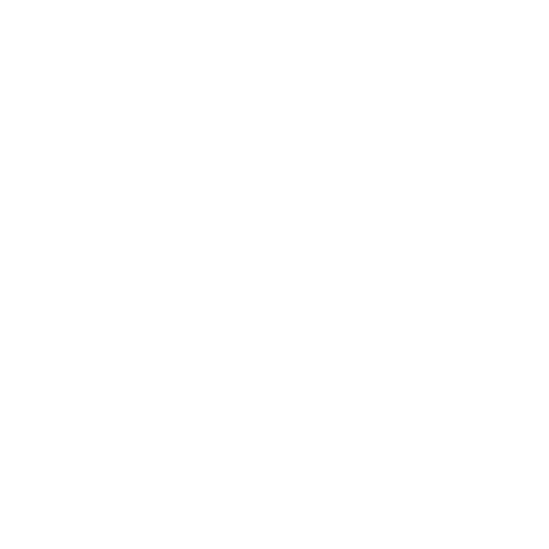 Brauner International