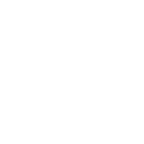 BravoTran