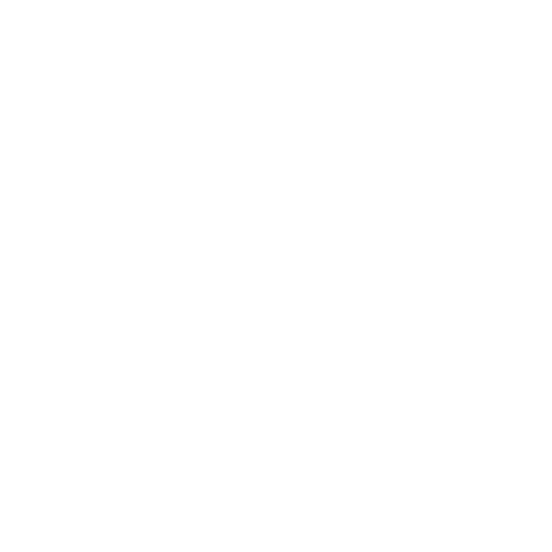 Chicago Customs Brokers & Forwarders Association