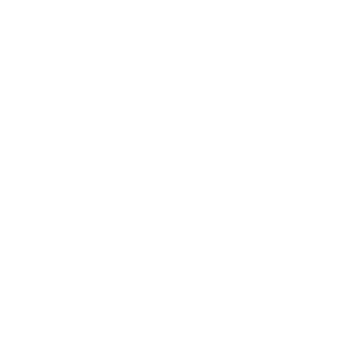 The Camelot Company